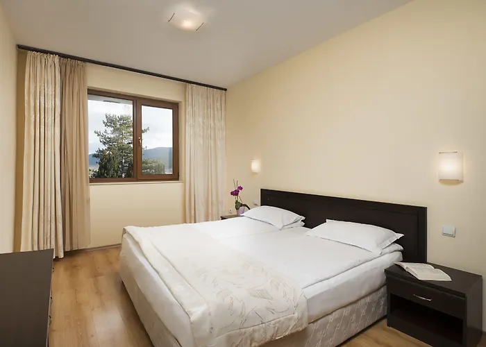 клуб бор Велинград